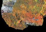 Bright Orange Wulfenite Crystals on Matrix - Rowley Mine, AZ #49373-2